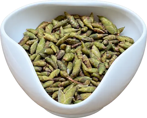 Dragon Claw white tea buds in a white porcelain display bowl
