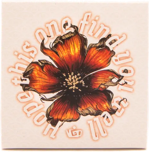 I Hope This One Finds You Well ripe pu-erh, Default Title (I HOPE THIS ONE FINDS YOU WELL Shu puer, 100 gr) package